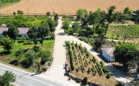 Clos Des Colombes - Vineyard Stay & Wine Experience